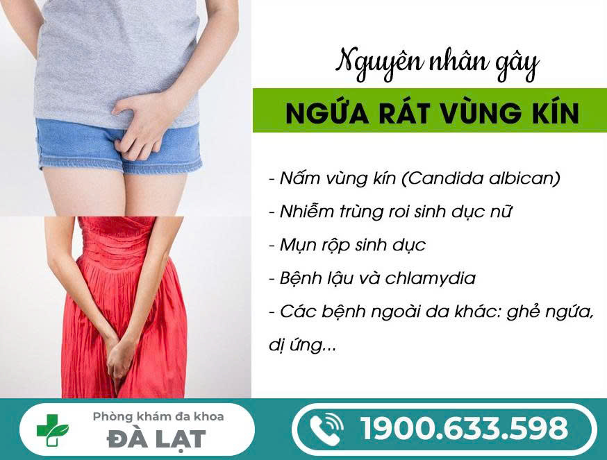 Hình ảnh minh họa